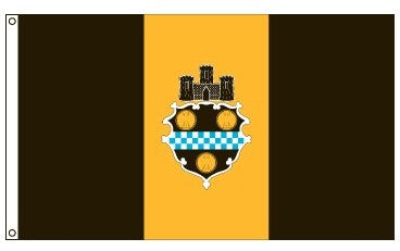 2X3 Nylon City of Pittsburgh Flag