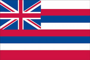4X6 SPECTRAPRO HAWAII FLAG