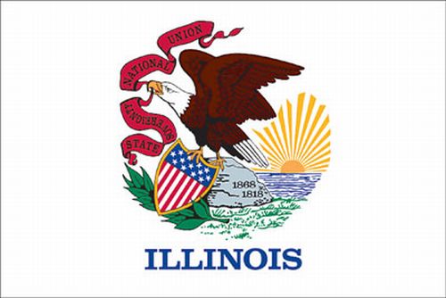 8X12FT Perma-Nyl ILLINOIS ROPED FLAG